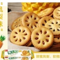 205g 嘉士利 果乐果香 夹心饼干 凤梨味 sandwich biscuit pineapple flavor