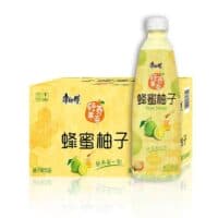 500ml 康师傅 蜂蜜柚子 honey pomelo tea