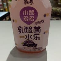 1l 康师傅 小酪多多 巨峰葡萄味 Lactobacillus grape flavor juice