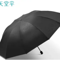 欧雨蝶 65*10K碰起黑胶运动雨伞