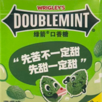 绿箭口香糖 薄荷味 32G