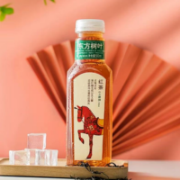 东方树叶红茶500ML