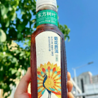 东方树叶菊花普洱500ML