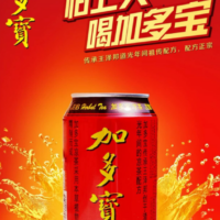 加多宝310ML