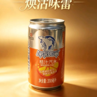 北冰洋 桔汁汽水 200ML
