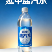 延中盐汽水 600ML