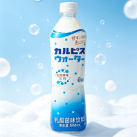 克尔必思 乳酸菌味饮料 500ML
